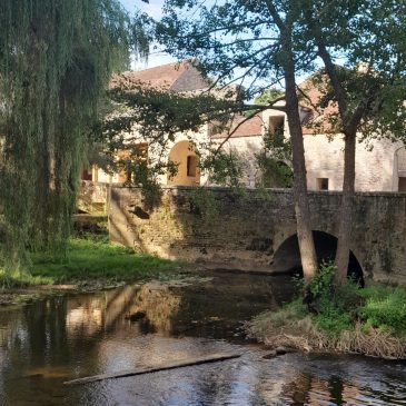 Jeudi 16 juillet, retour aux horaires habituels : en continu de 10h à 18h